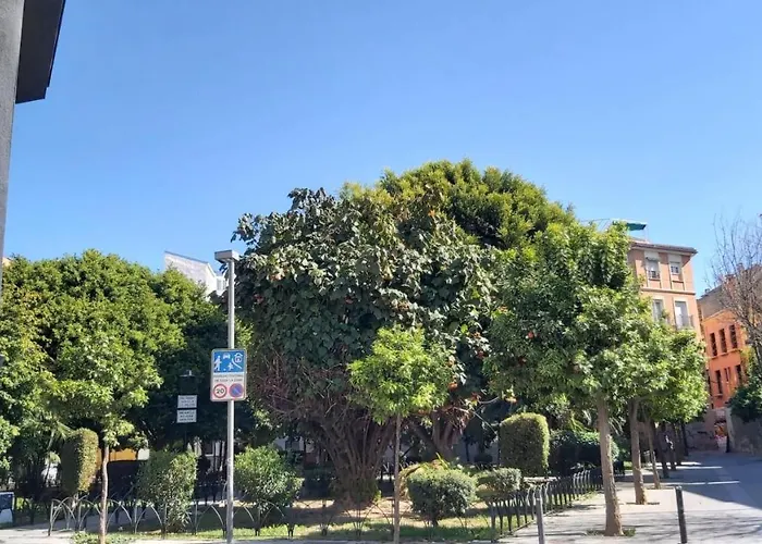 Apartment Del Parque Flats Urban Corner